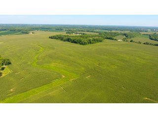 Property photo 15 - LAND AUCTION - 1,193+/- ACRES IN 14 TRACTS IN PIKE & GIBSON COUNTY, INDIANA